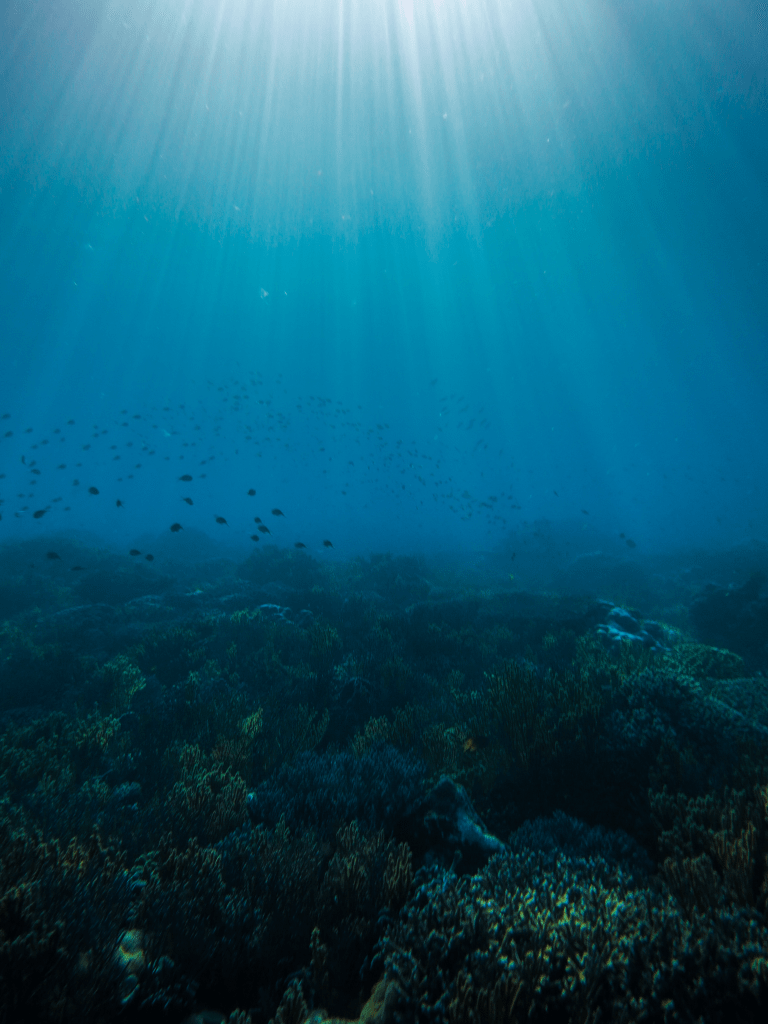 Blue-hued image of Watuwai reef lit by morning evening light