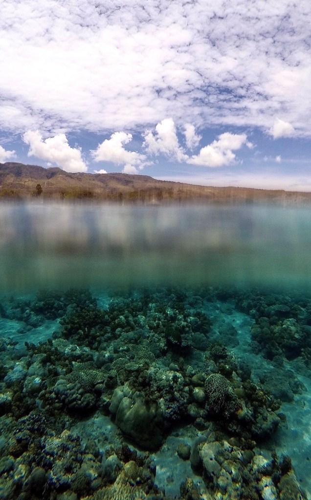 A split-shot of Atauro Island with mountains and underwater reef in view