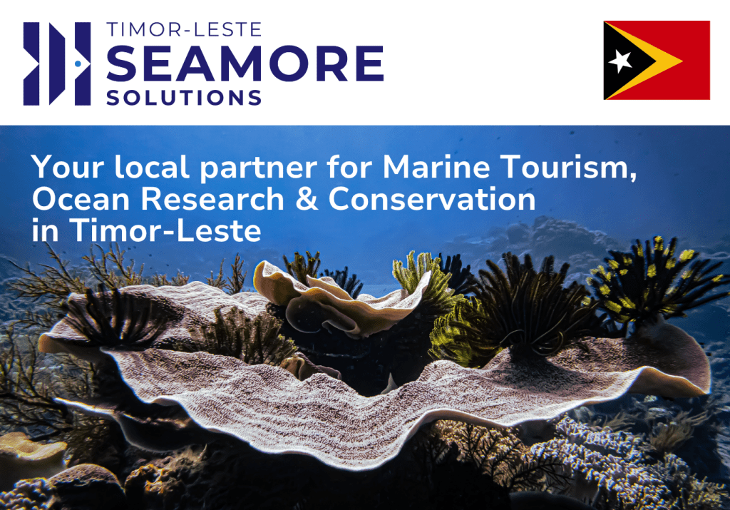 Main page image with business logo and coral background